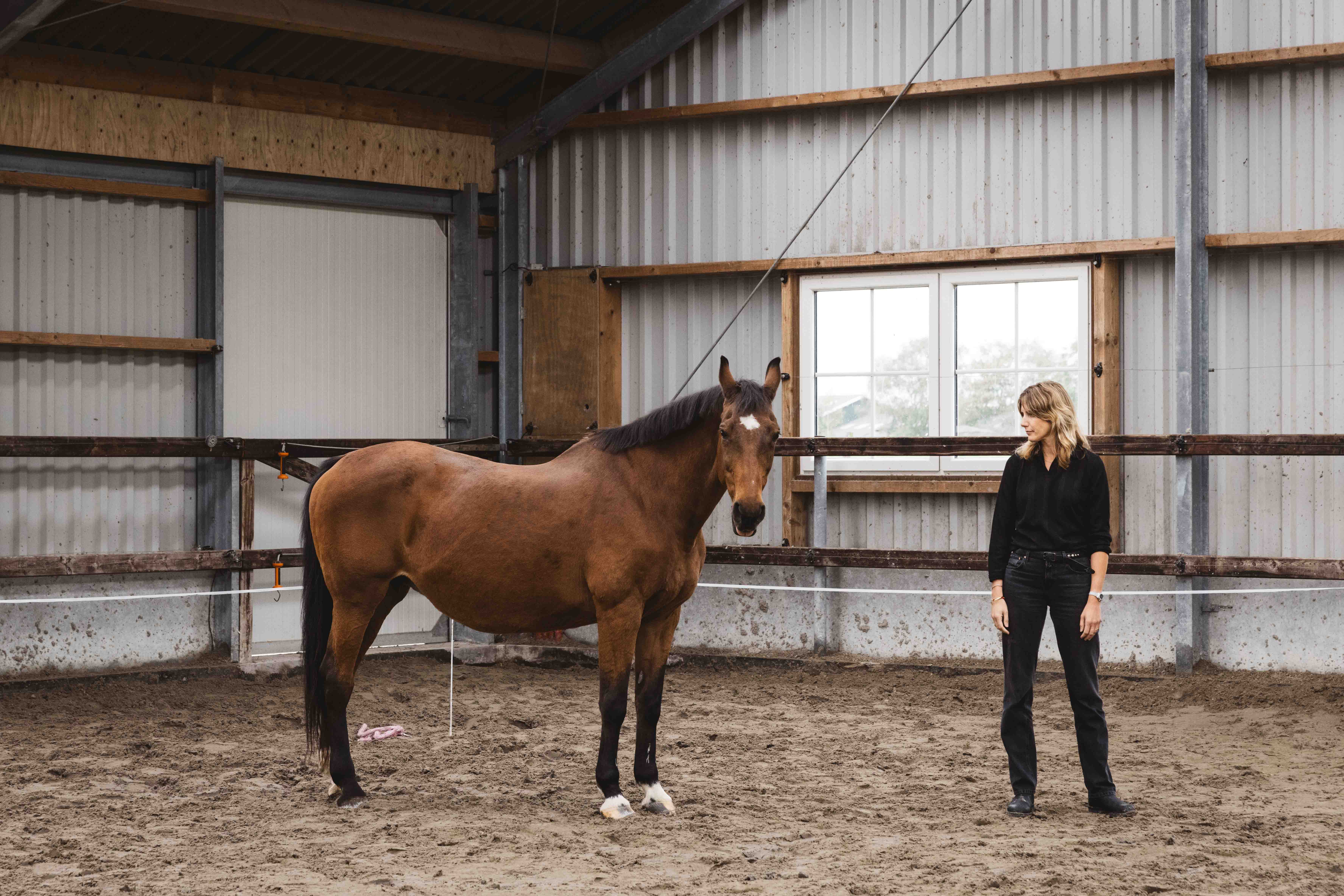 paardencoaching