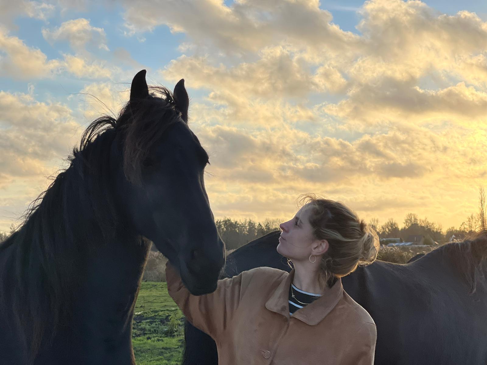 Laurine Contact - Coachen met Paarden