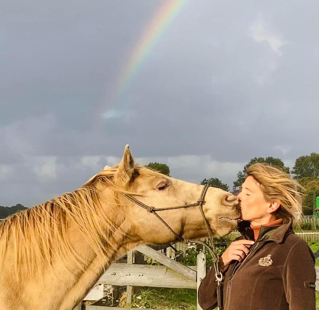 over Mariska Contact - Coachen met Paarden